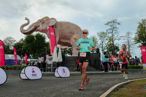 BIB: 
                            <button type="button" onclick="openModal(26528930)" class="btn btn-primary btn-sm float-right btn-popup" data-toggle="modal" data-target=".modal-high-quality">
                        <i class="fas fa-shopping-cart"></i> Add to Cart
                    </button>
                                            <button type="button" onclick="isThisMe(26528930, true)" class="btn btn-success btn-sm float-right btn-popup btn-isme hidden" data-toggle="tooltip" data-placement="bottom" title="นี่คือรูปของคุณใช่ไหม คลิกที่นี่เพื่อเอาเข้าอัลบั้ม">
                        <i class="fas fa-plus"></i> Add to album
                    </button>
                    <button type="button" onclick="isThisMe(26528930, false)" class="btn btn-warning btn-sm float-right btn-popup btn-isnotme hidden">
                        <i class="fas fa-ban"></i> Remove from album
                    </button>